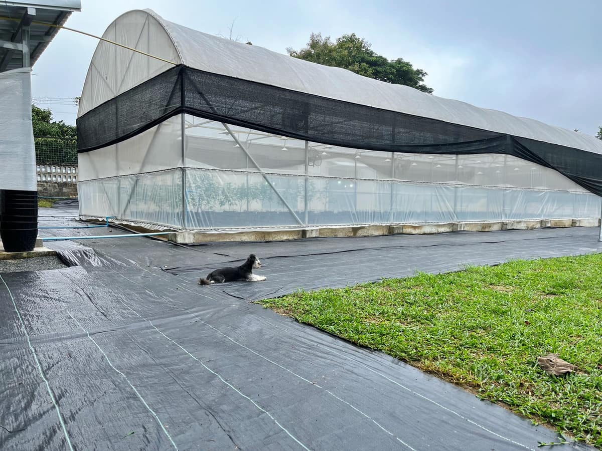 Exterior of the greenhouse on the grounds