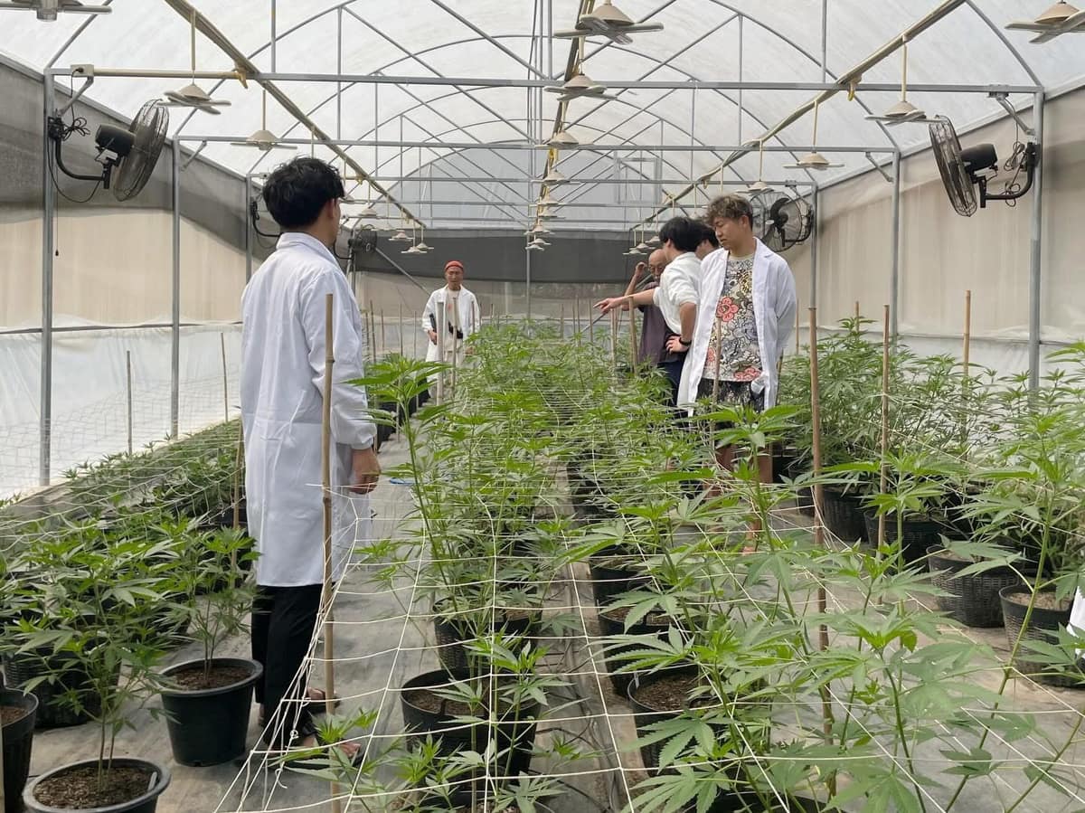 Participants and staff walking through the greenhouse